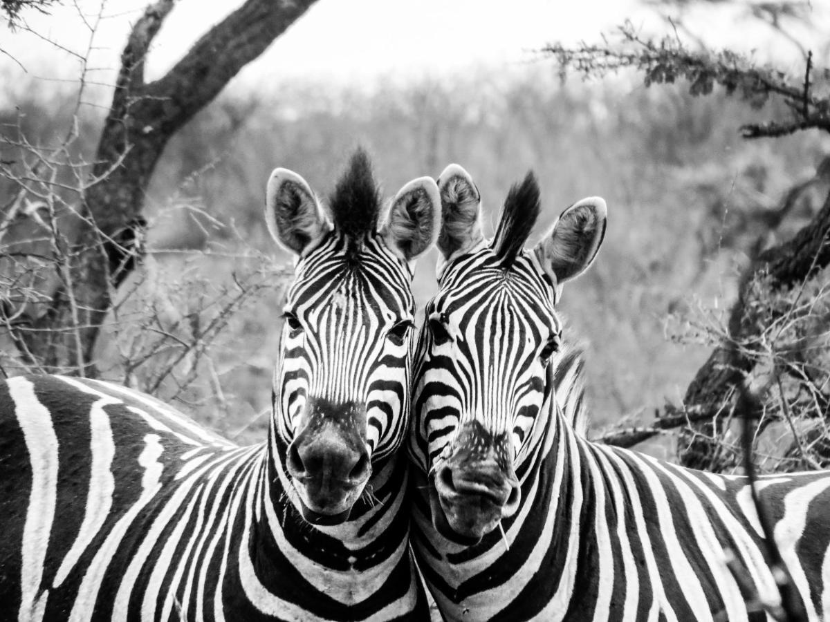 African Spirit Game Lodge Mkuze Dış mekan fotoğraf